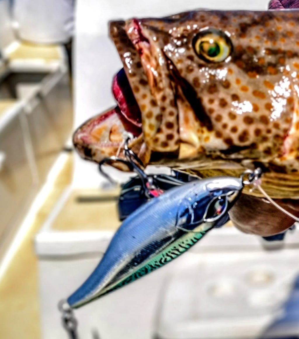Boss Minnow Noeby –  Leurre puissant pour Gros Prédateurs